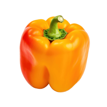 Paprika Gul Klass1